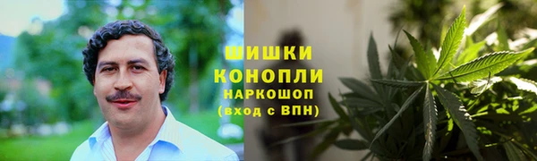 каннабис Белокуриха